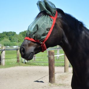 Fleece mit Ohren